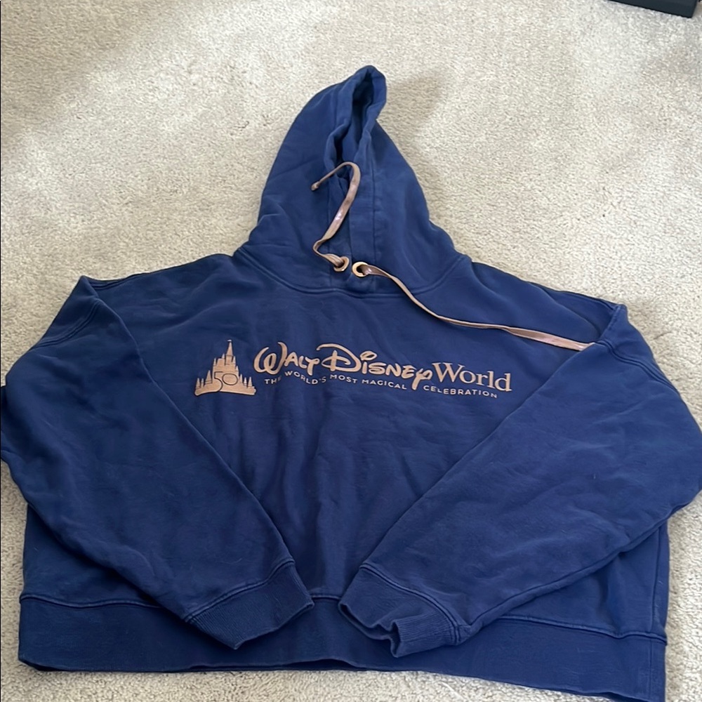 Walt Disney World Blue Hoodie